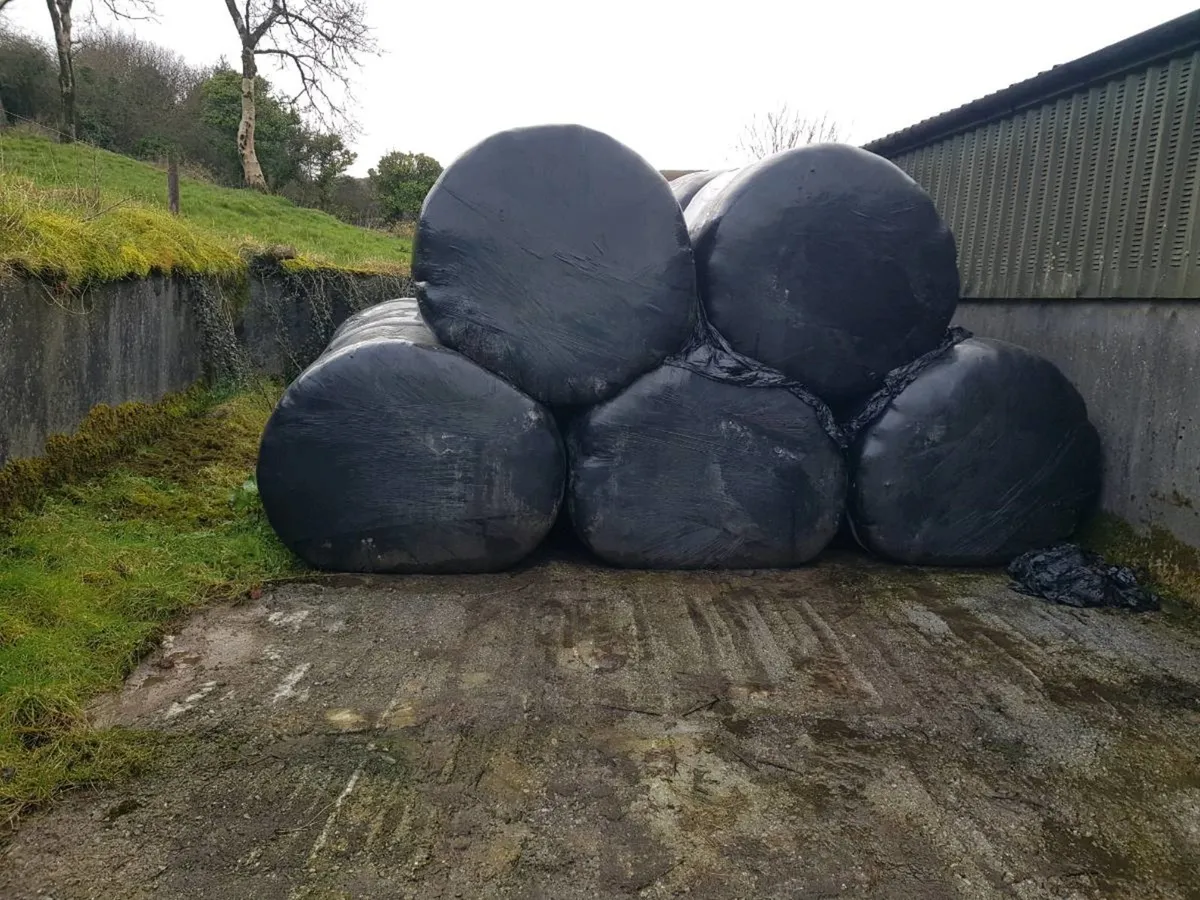 Silage bales