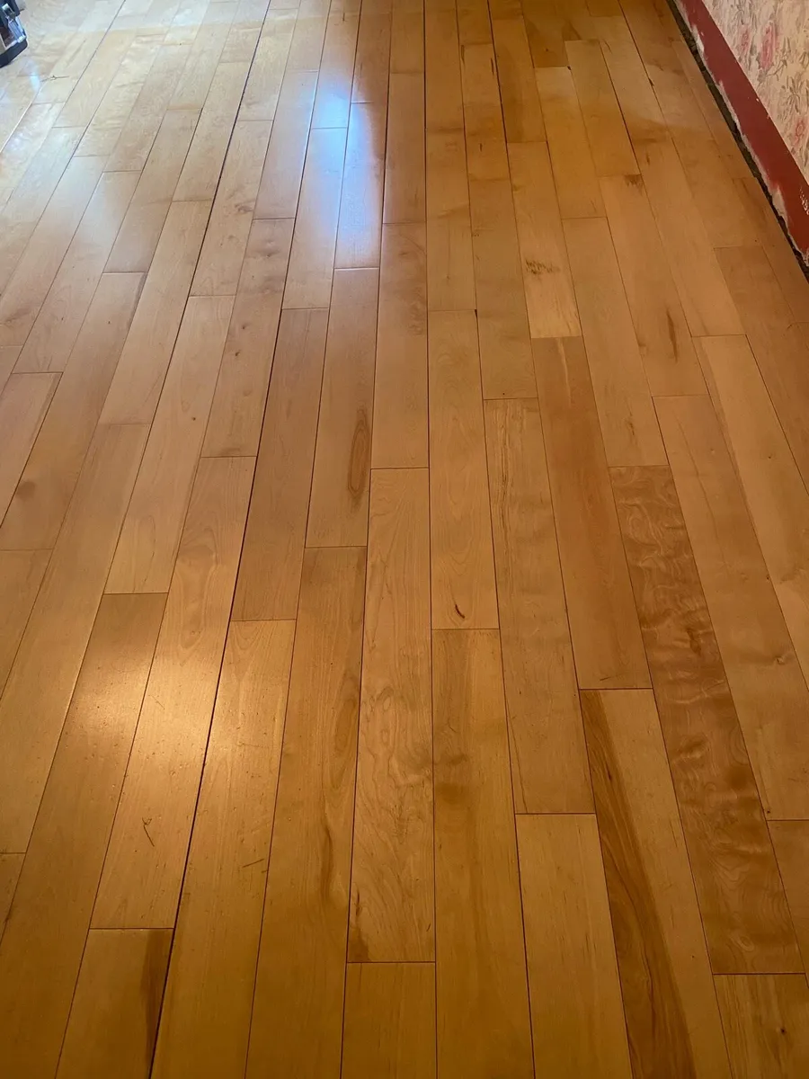 Maple timber floor