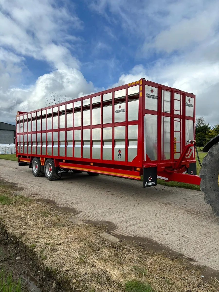 🟢Broughan CATTLE Trailers !!🟢 - Image 4
