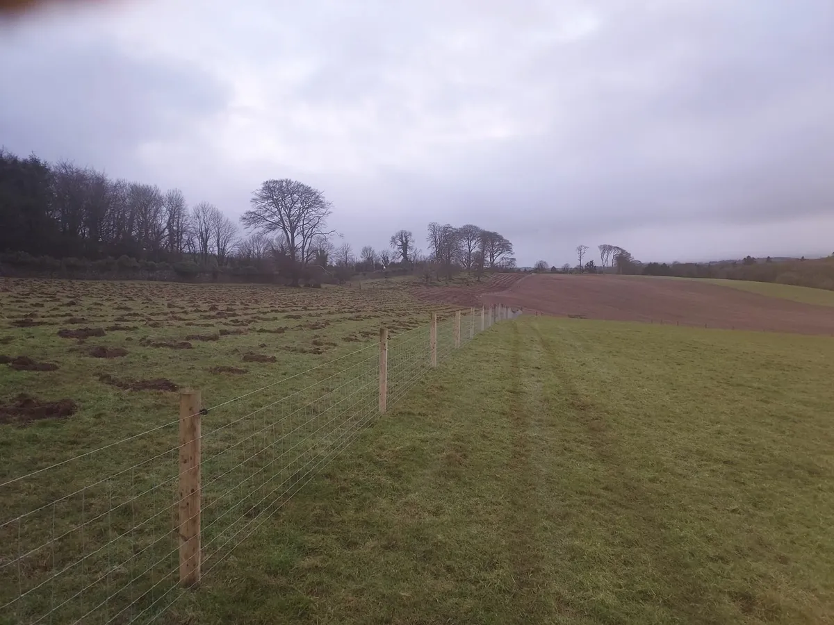 Felling & Forestry License Applications - Image 4