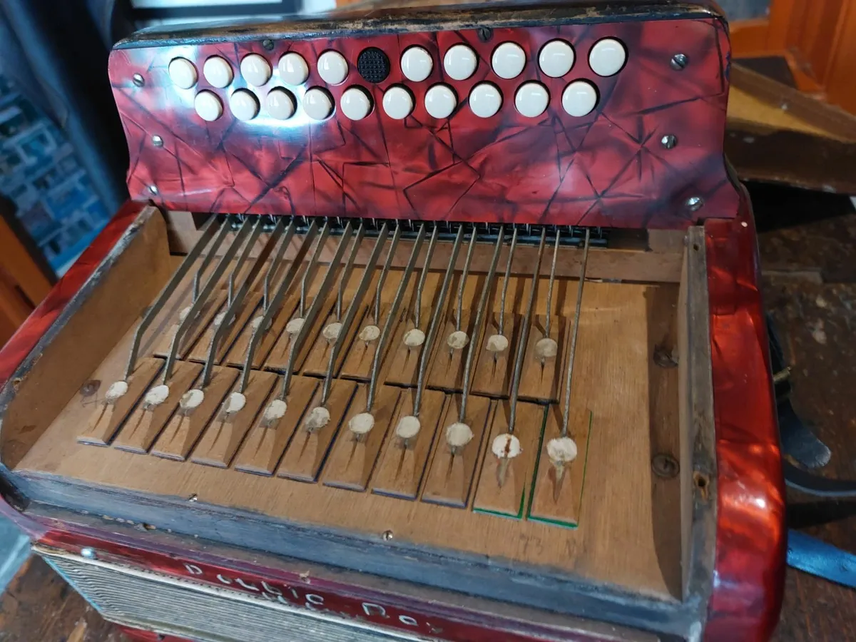 Accordian - Image 4
