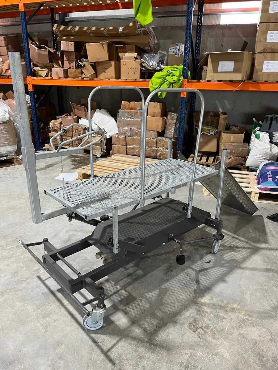 Sheep Headstock & Grooming Supplies for sale in Co. Laois for €150 on