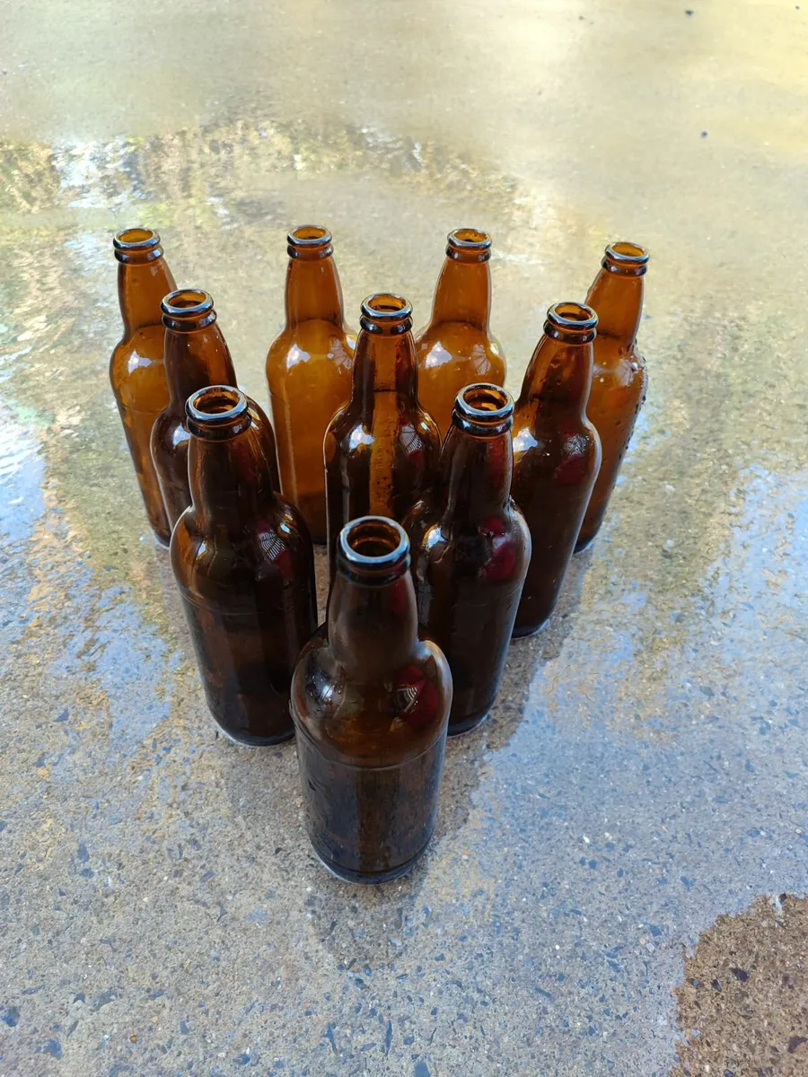 Beer Bottles for Homebrewing for sale in Co. Sligo for €50 on DoneDeal