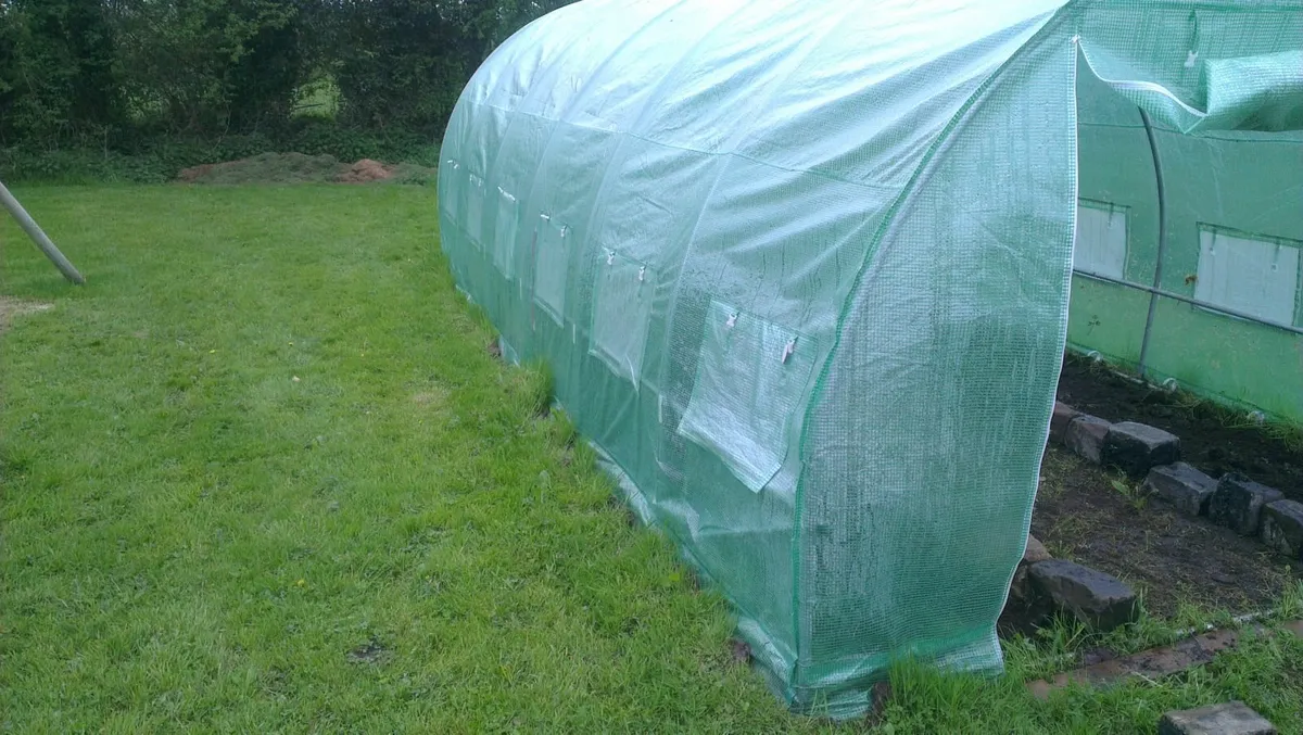 polytunnel 6m x 3m free kit worth 50 euro - Image 3