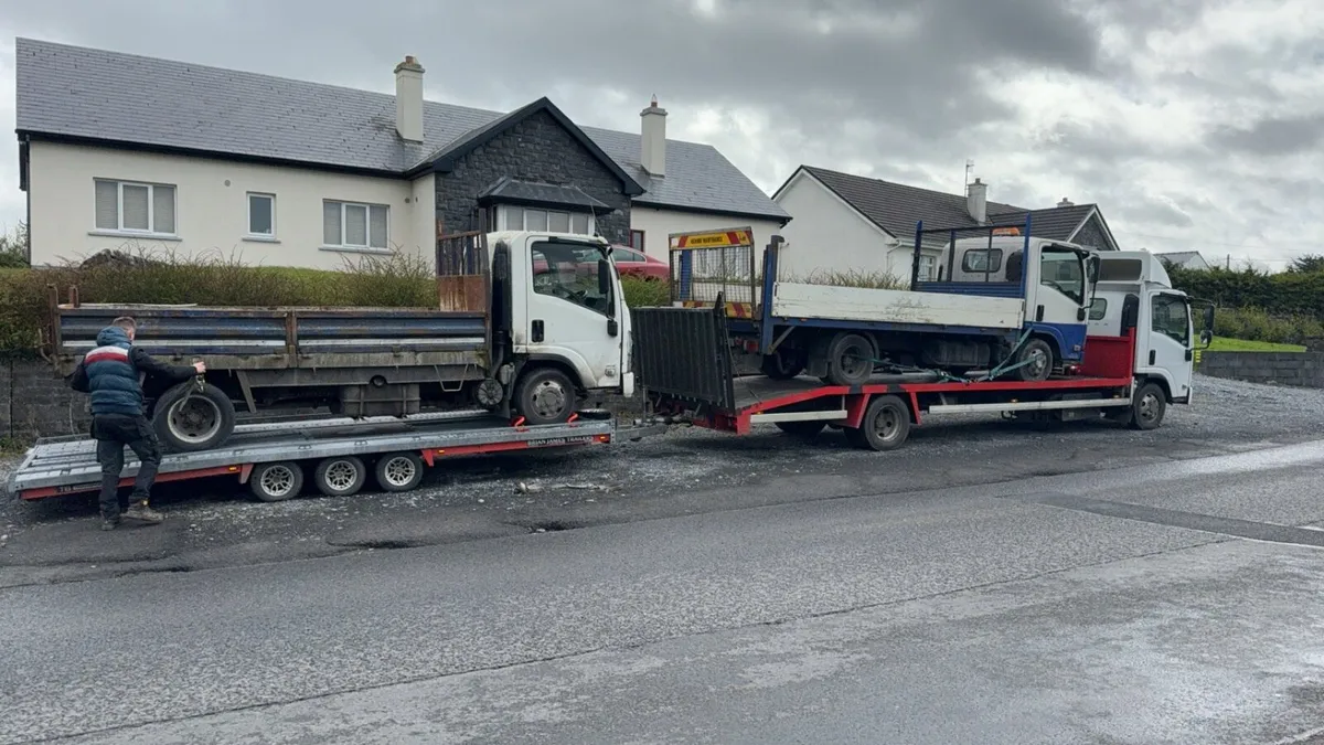 Isuzu NN NPR grafter wanted - Image 1
