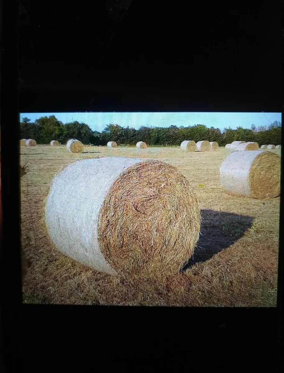 Horse Hay for sale in Co. Kildare for €1,234 on DoneDeal