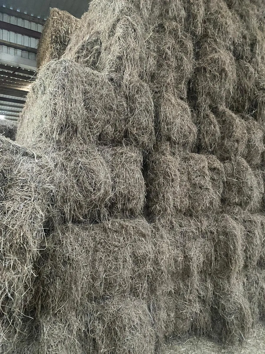 Hay  Delivered - Image 2