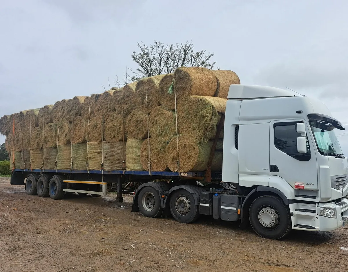 Green hay for sale suitable for sheep or calves et