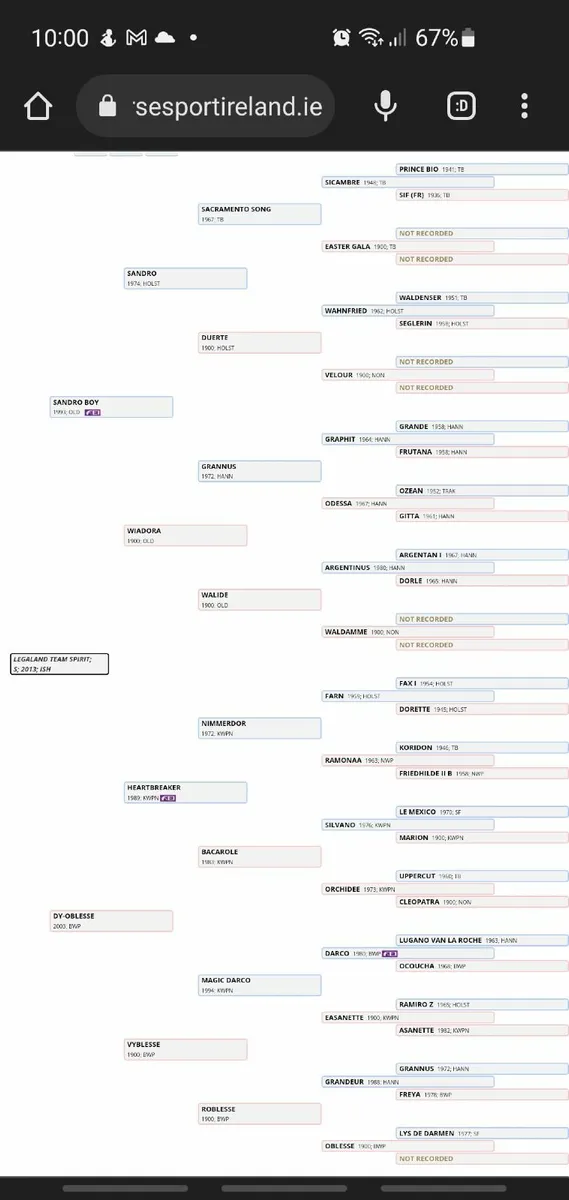 Legaland Team Spirit at Stud for sale in Co. for €600 on DoneDeal