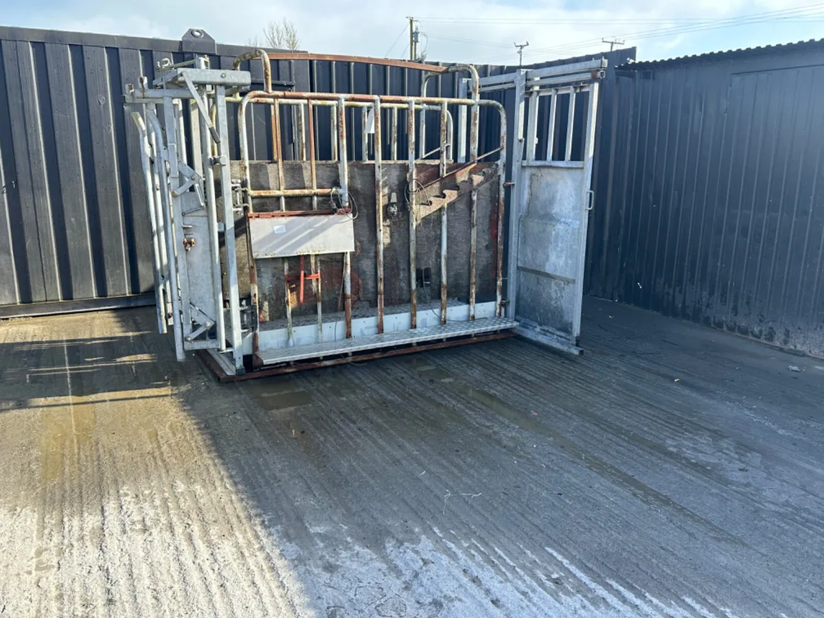 Bateman Galvanised Cattle Crush