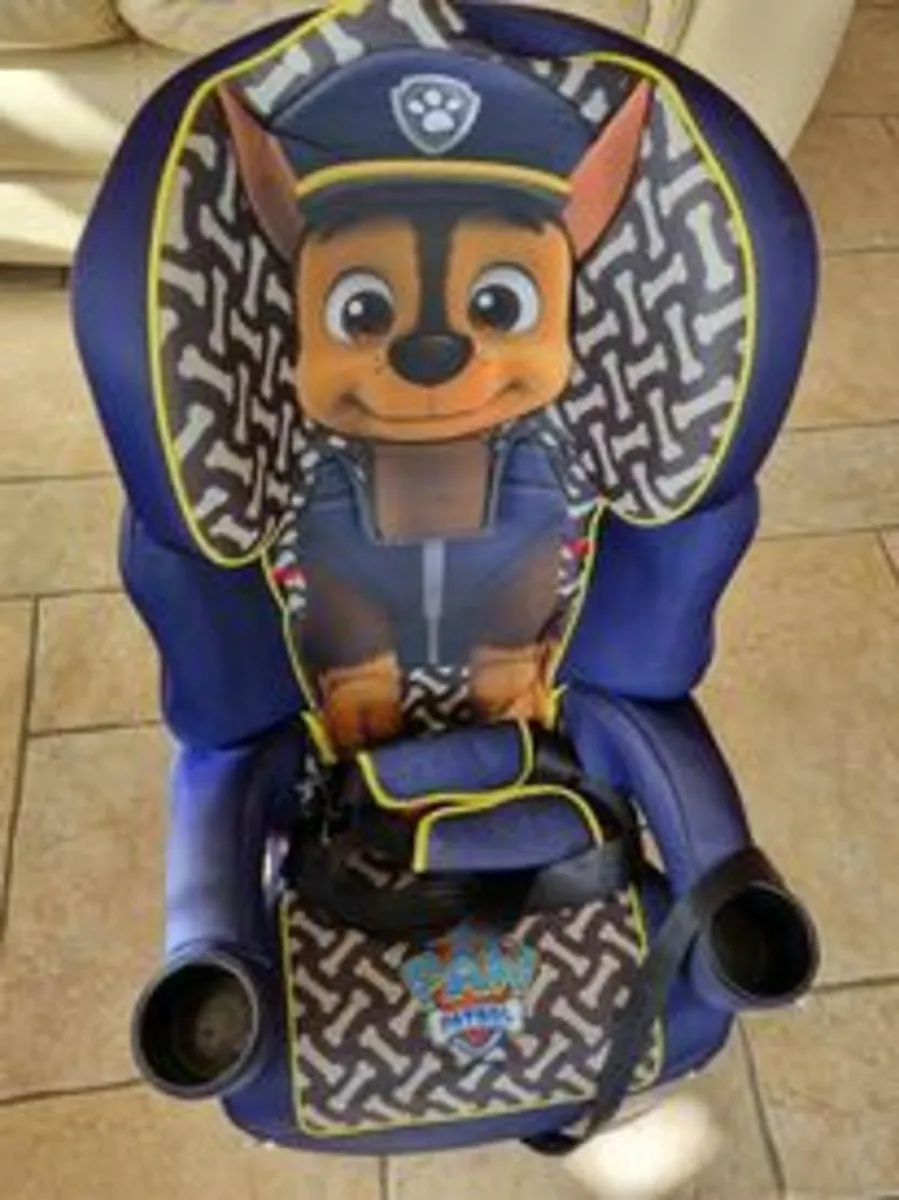 Dog Crate, Electric Car, Paw Patrol Car Seat, Cage for sale in Co. Cork