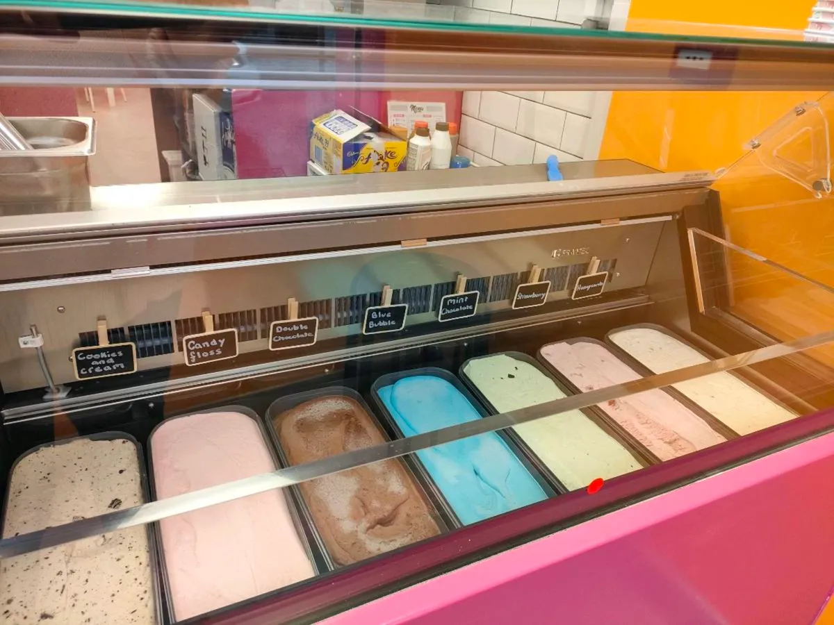 Ice cream Freezer - Image 1