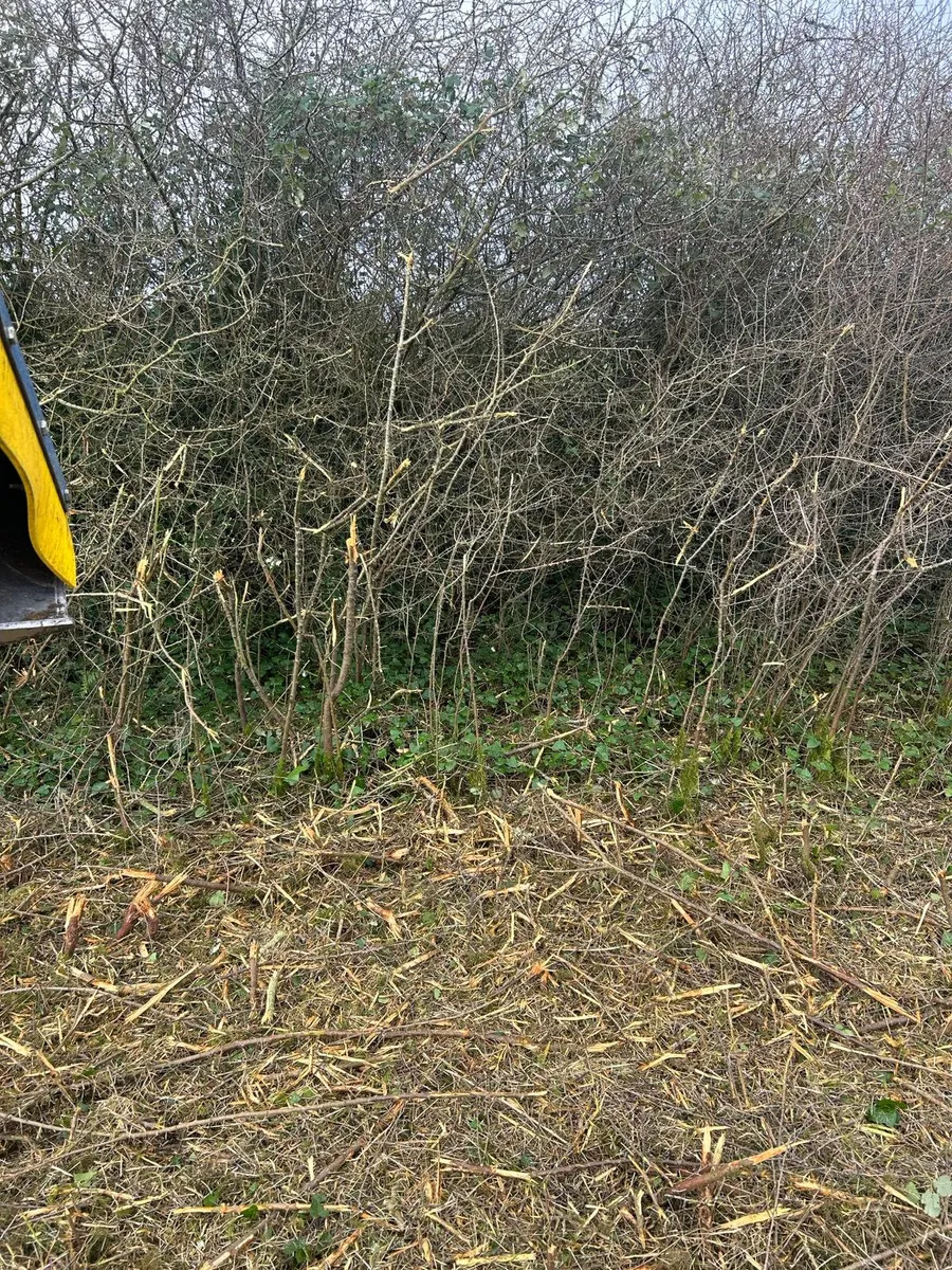 Slanetrac 13 Ton Flail Mower - Image 4