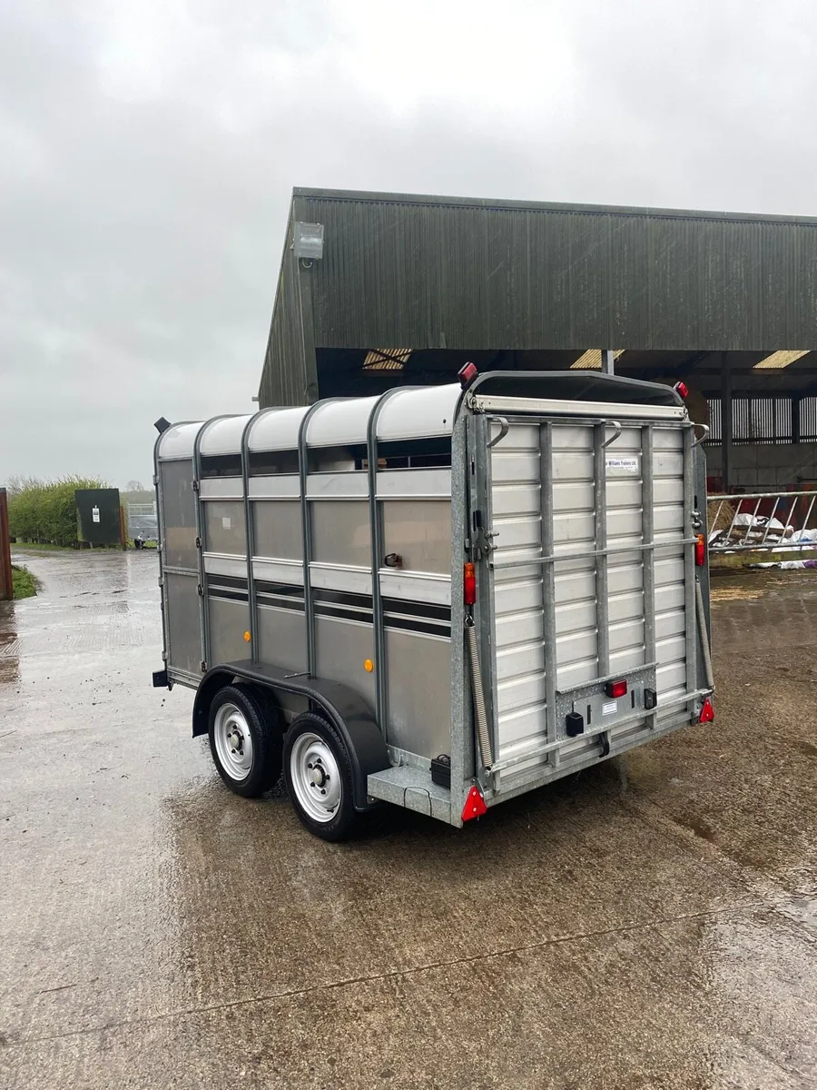 CJS Ifor Williams Livestock trailer - Image 3