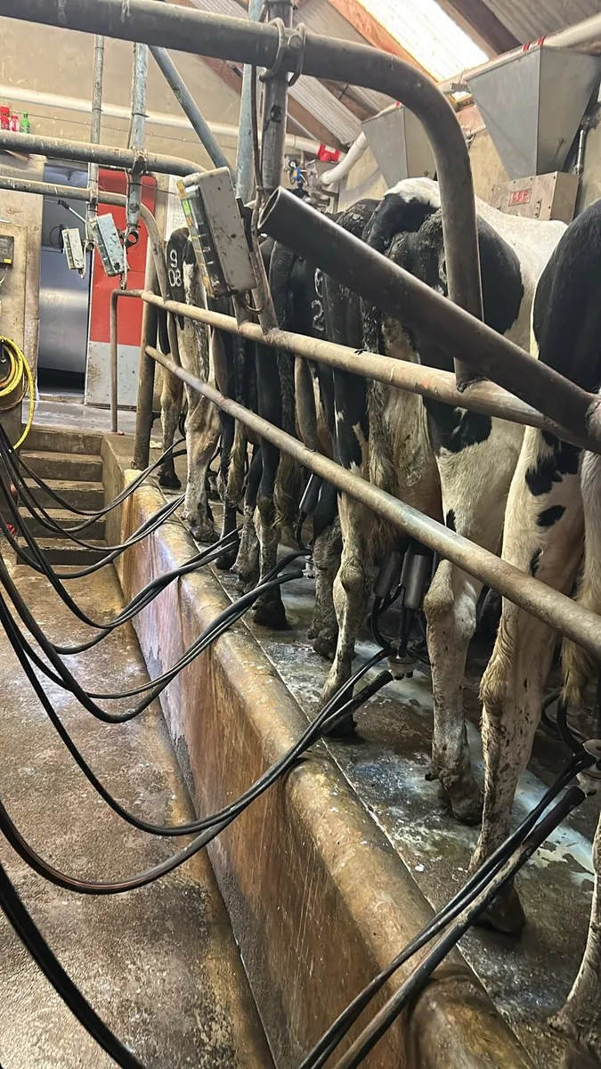 Farm Labourer/Relief Milking Service - Image 1