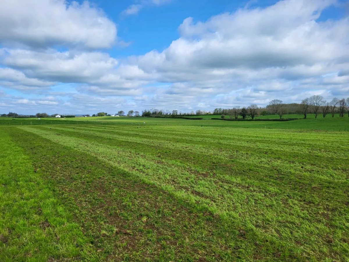 Pasture  rejuvenating/ stiching in/ reseeding - Image 4