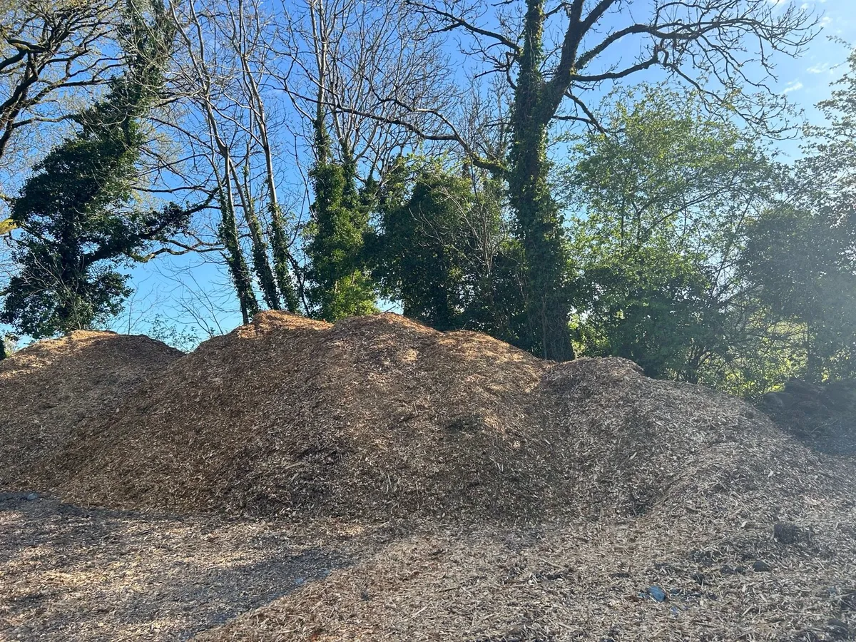 Woodchip for bedding - Image 1