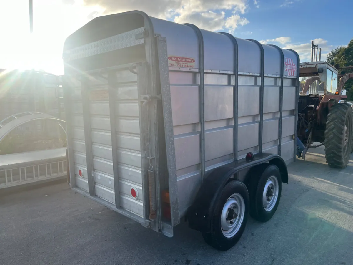 Aerlite 10ft cattle trailer - Image 2