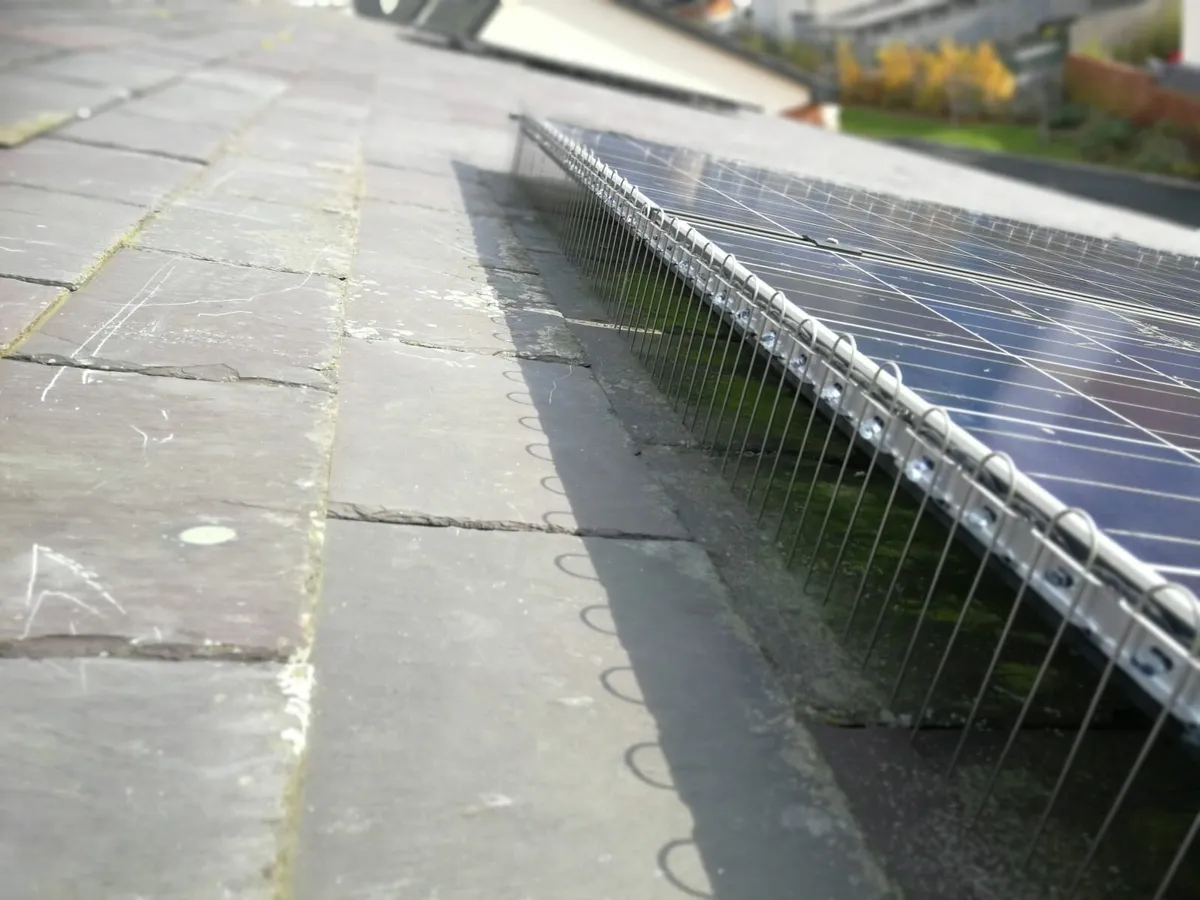 Solar Panel Bird Proofing - Image 3