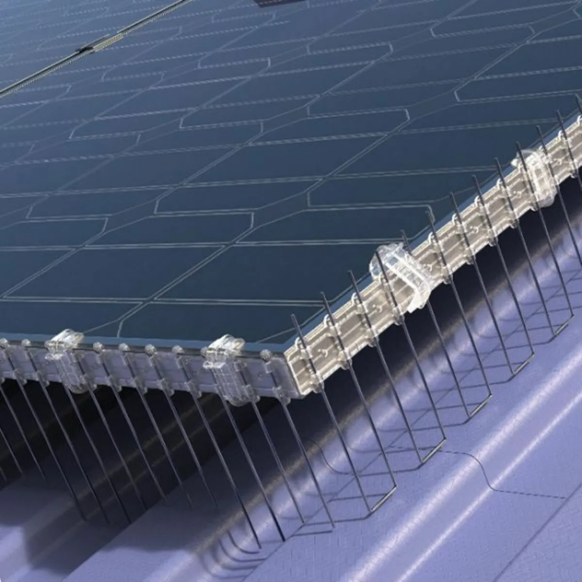 Solar Panel Bird Proofing - Image 4