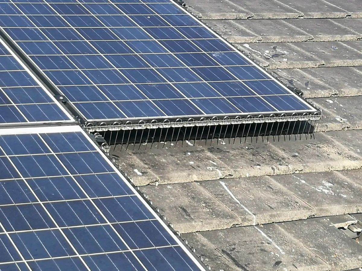 Solar Panel Bird Proofing - Image 1