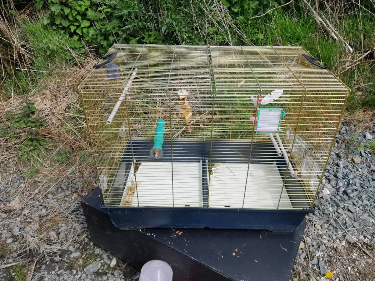Bird Cages and flight cages for sale in Co. Cork for €100 on DoneDeal