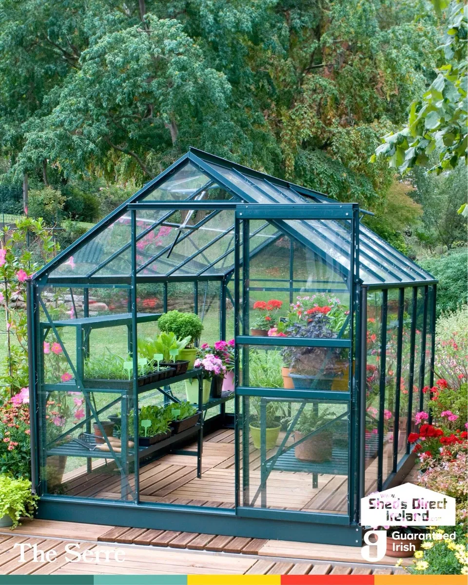 Glasshouse / Greenhouse  with Tempered Glass - Image 1