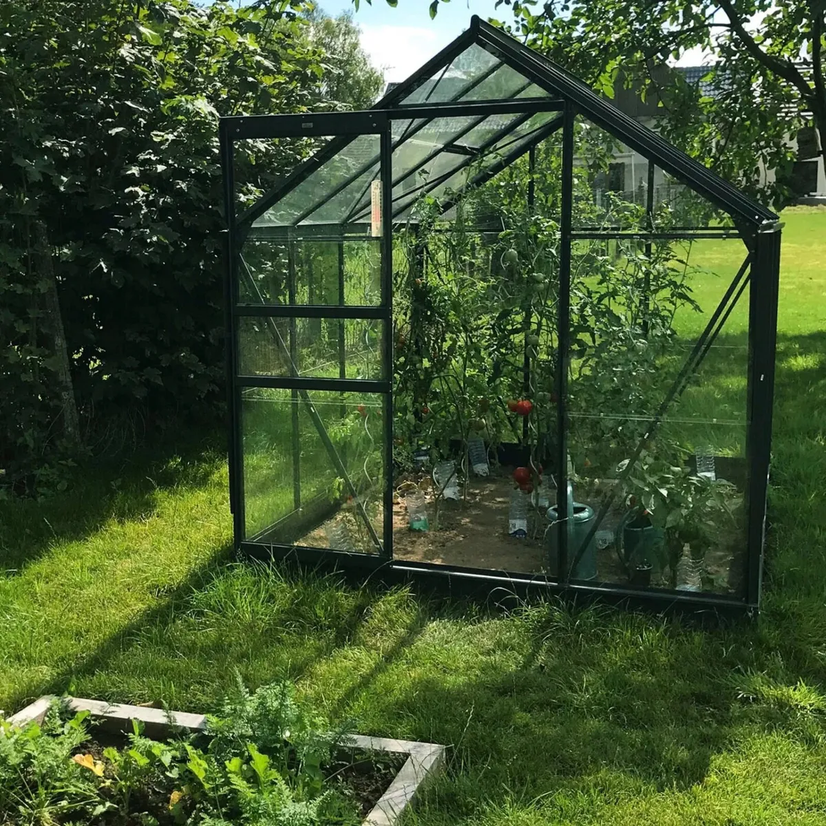 Glasshouse / Greenhouse  with Tempered Glass - Image 4