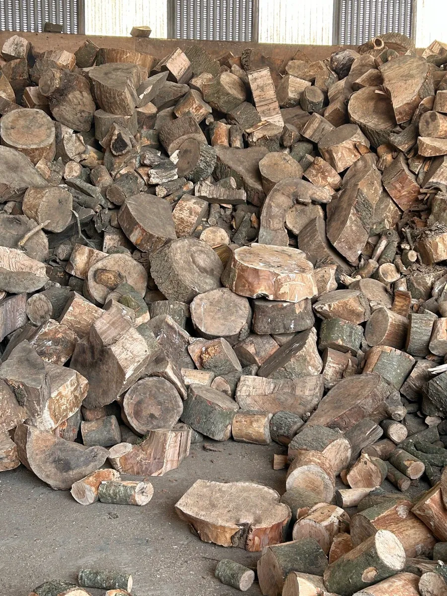 Seasoned hardwood firewood - Image 4