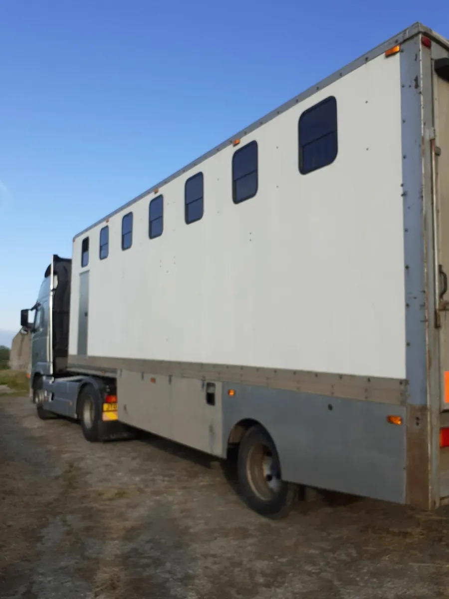 HORSE  TRAILER/ HORSE TRANSPORT - Image 1