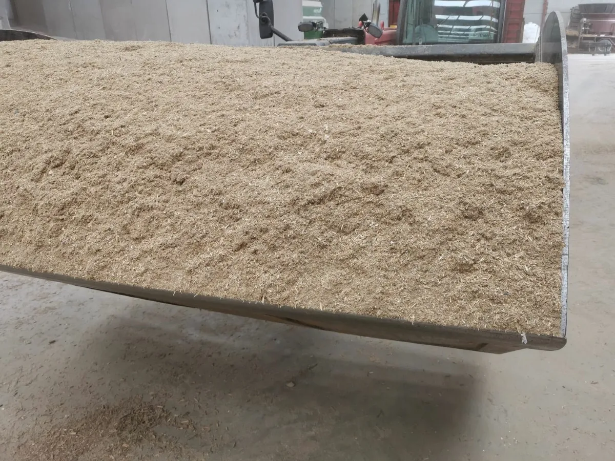 Bulk dry sawdust - Image 4