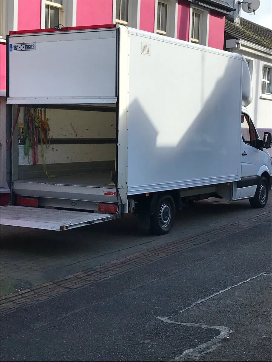 MAN WITH A VAN CORK-HOUSE MOVES CORK - Image 4