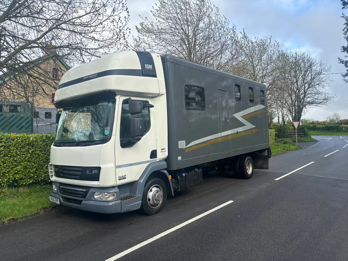 Daf lf horse box - Image 1