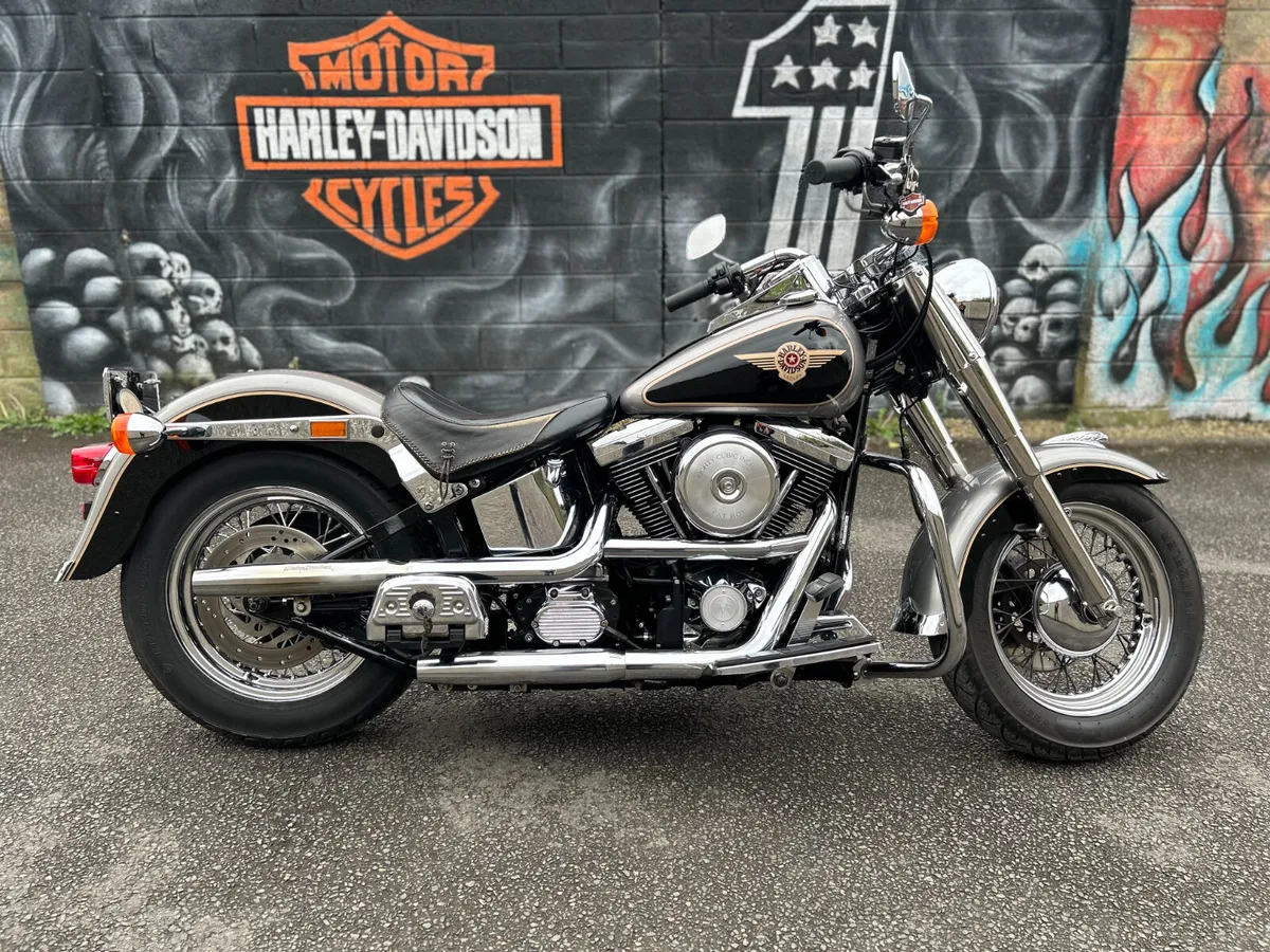 Harley davidson fat boy evolution best sale