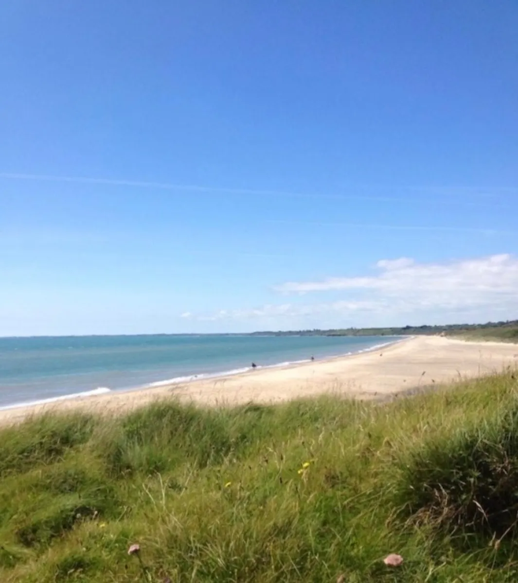 Mobile homes on and off site for sale in Co. Wexford for €0 on DoneDeal