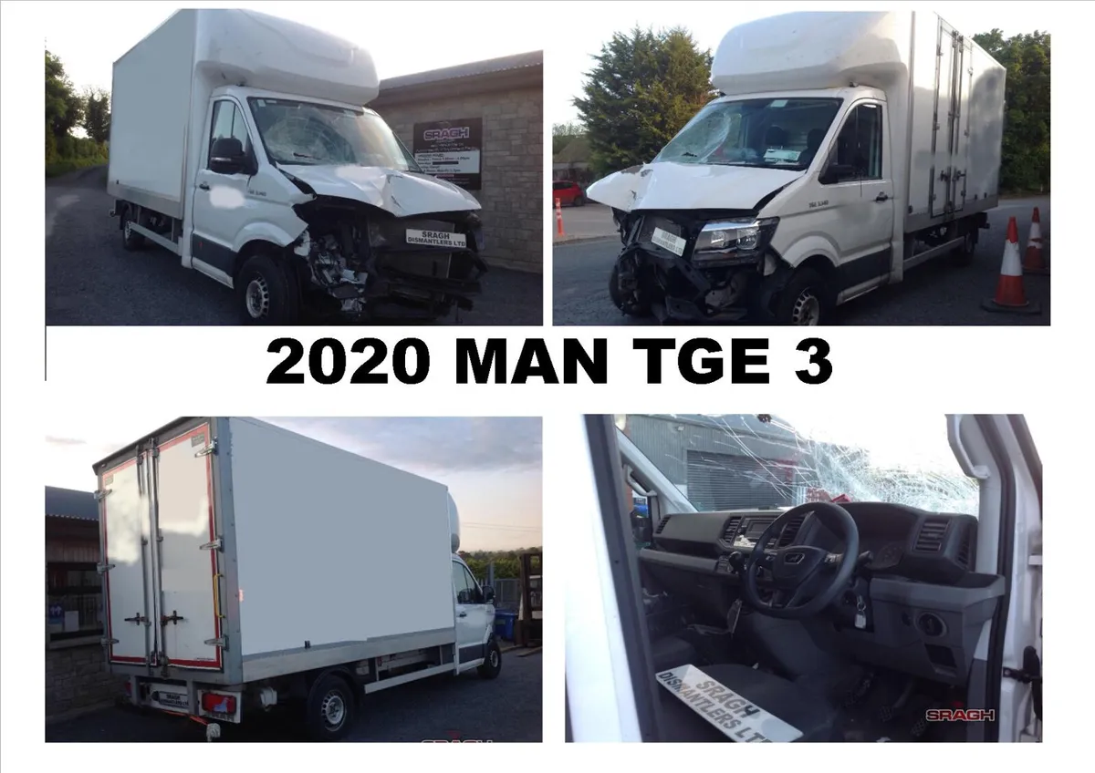 MAN TGE Selection - Image 1