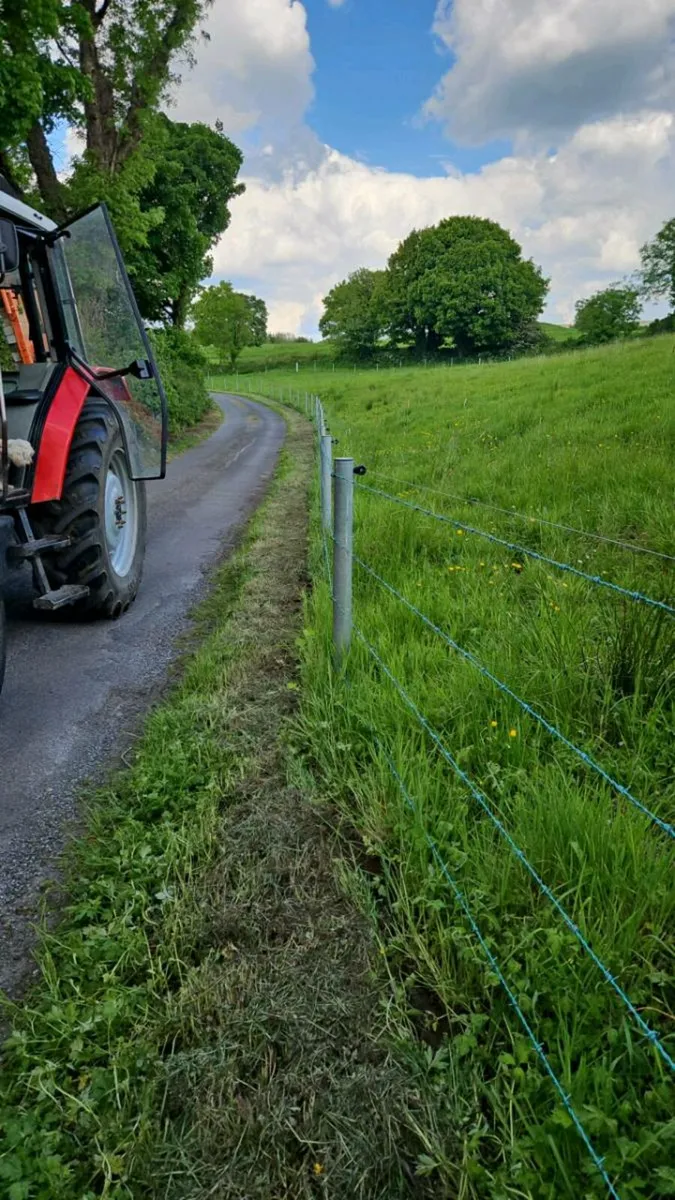 Verge mowing - Image 1