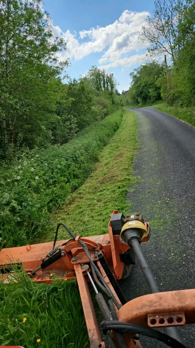 Verge mowing - Image 2