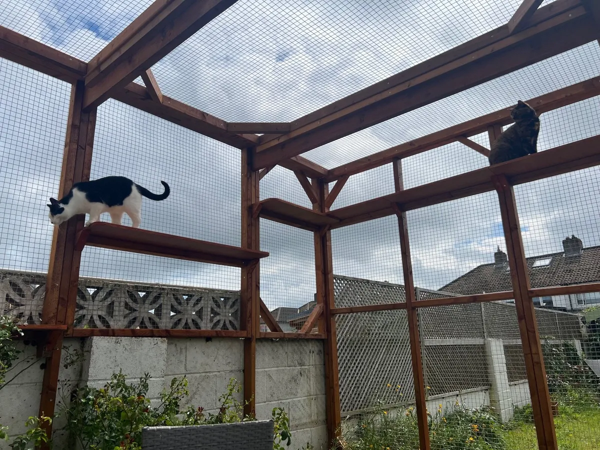 Catio / Cattery - Image 1