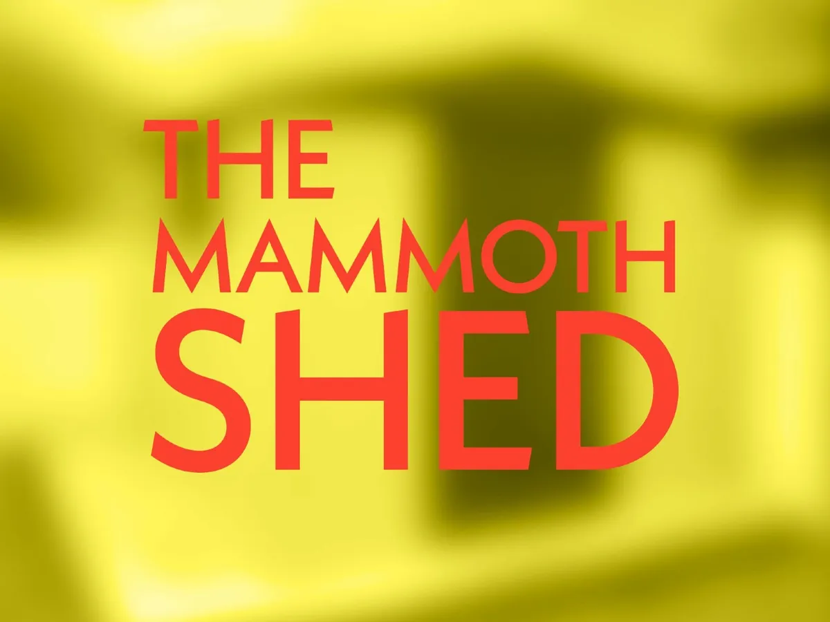 Mammoth Shed - Image 2