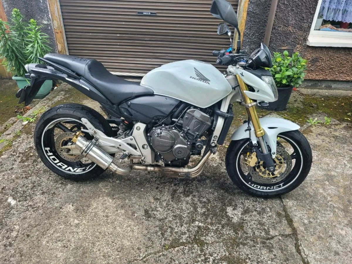 Honda hornet 600 for sale sale