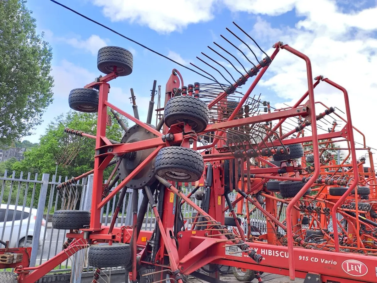 Lely Hibiscus 915 CD Vario Rake - Image 2