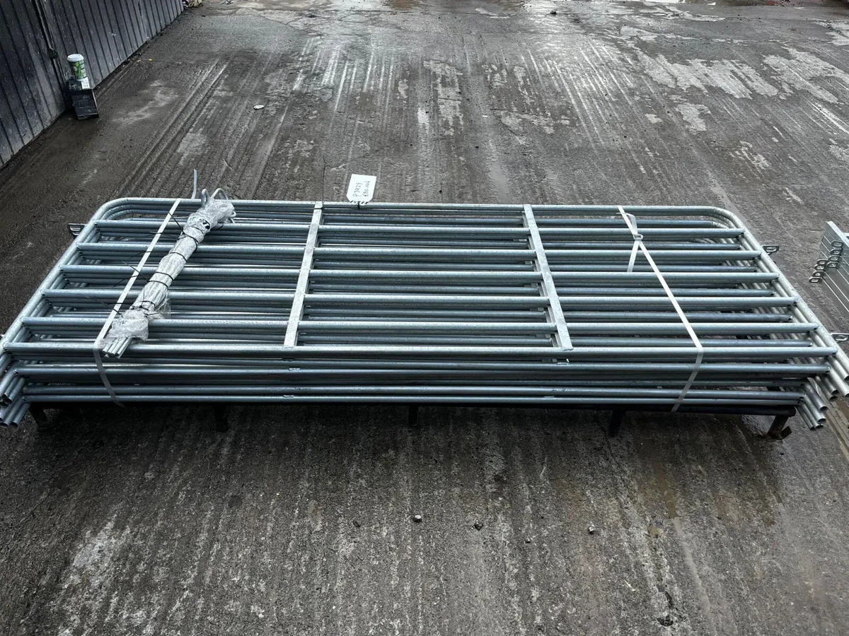 8ft Sheep Hurdles - Image 4