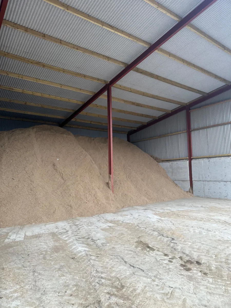 Sawdust bedding - Image 2