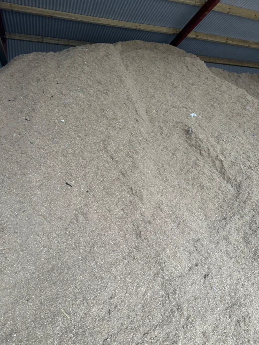 Sawdust bedding - Image 4