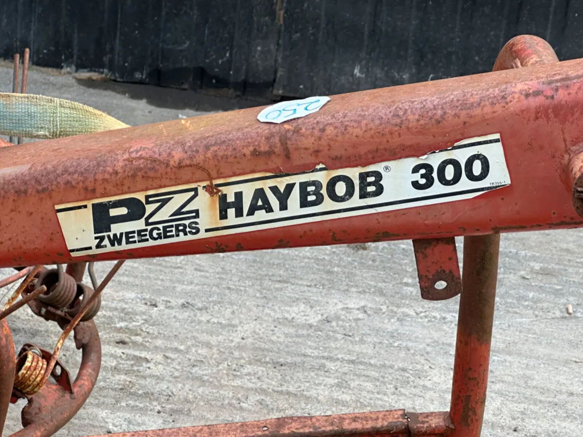 PZ 300 Haybob - Image 2