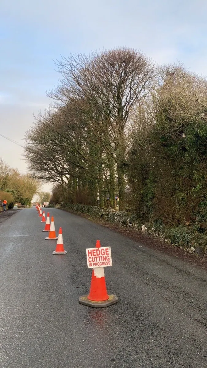 **Tree felling Dangerous tree removal** - Image 2