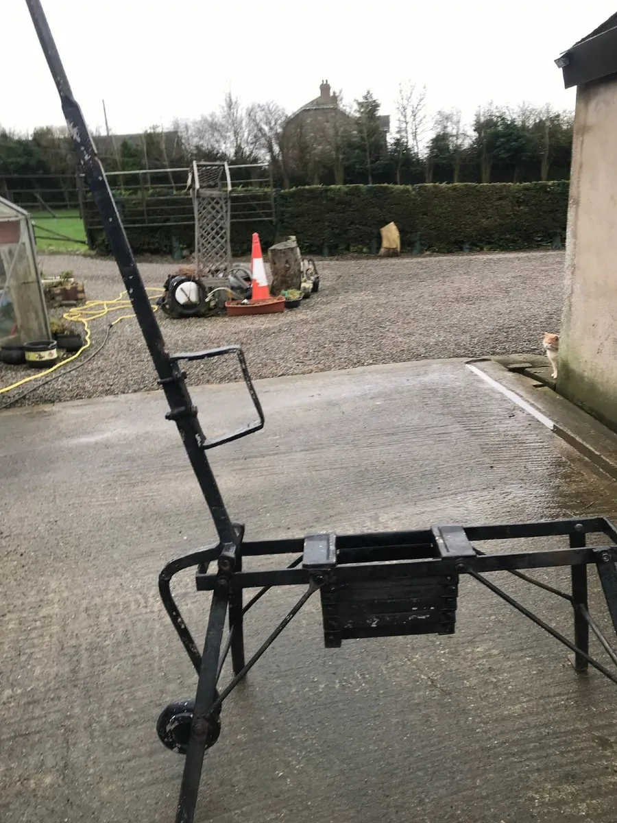 Grass seed fiddle. Turnip chopper. Lion ornament for sale in Co