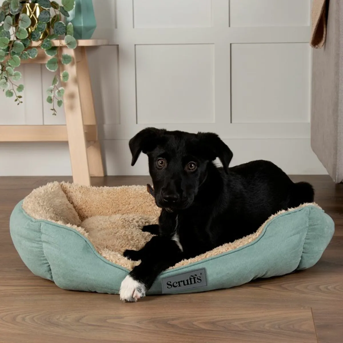 Dog Beds - Image 2
