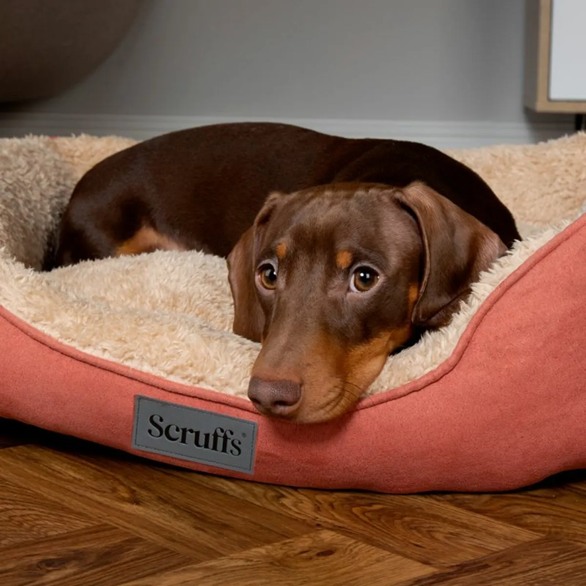 Scruffs Dog Bed SALE!! - Image 3